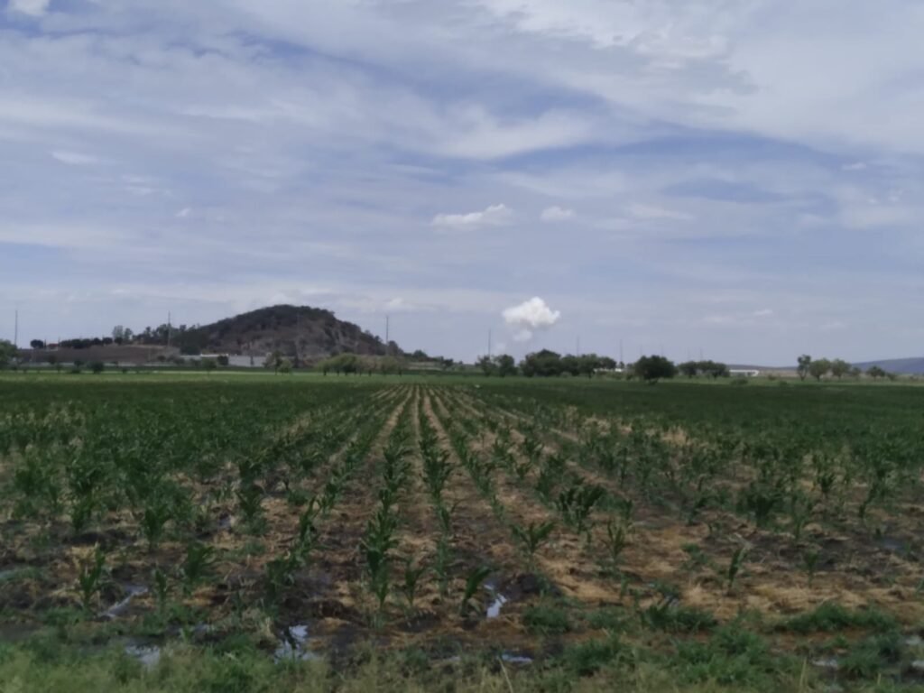 Truena polvorín en Irapuato