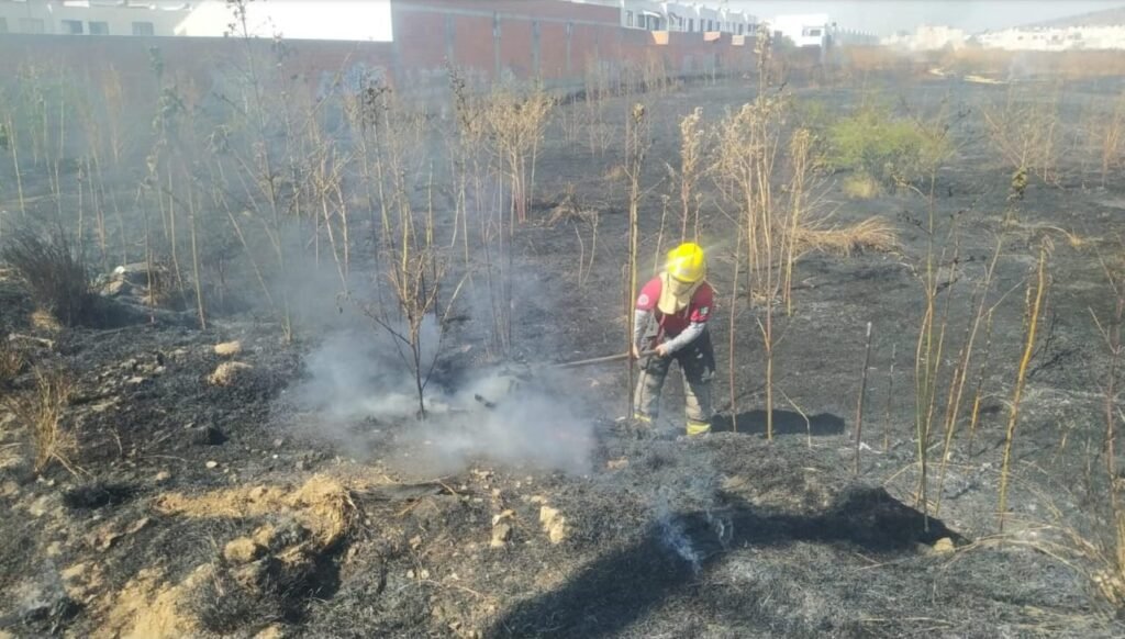 PIDE BOMBEROS A CIUDADANÍA PREVENIR INCENDIOS DE PASTIZALES