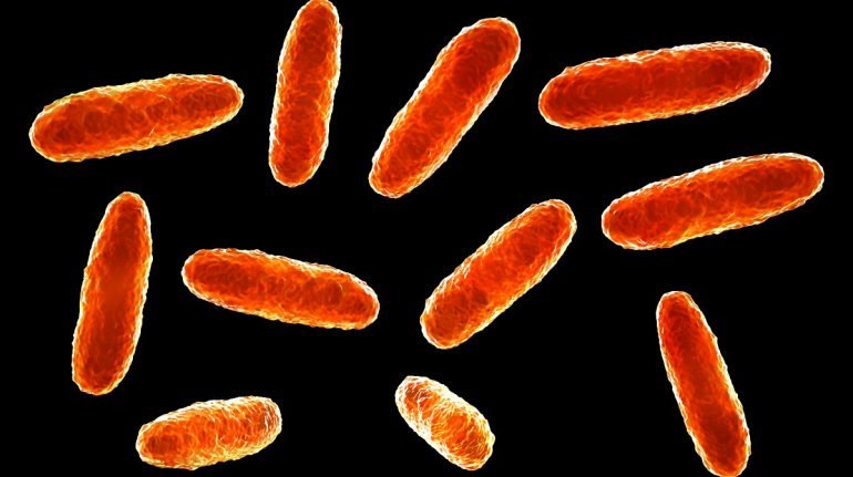 Guanajuato investiga seis casos sospechosos de infección por Klebsiella oxytoca