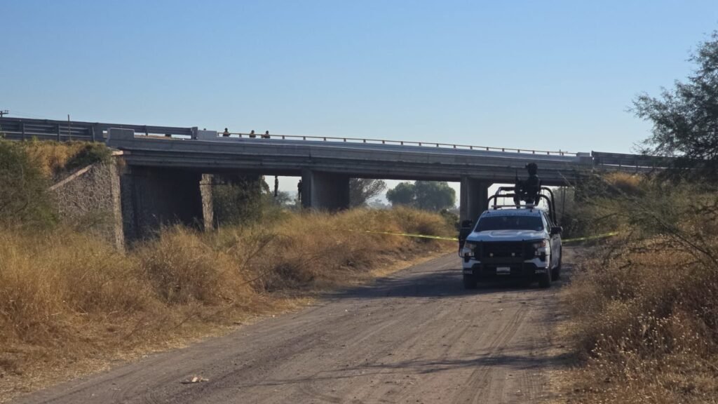 Hallan tres cuerpos colgados en puente vehicular de Salamanca