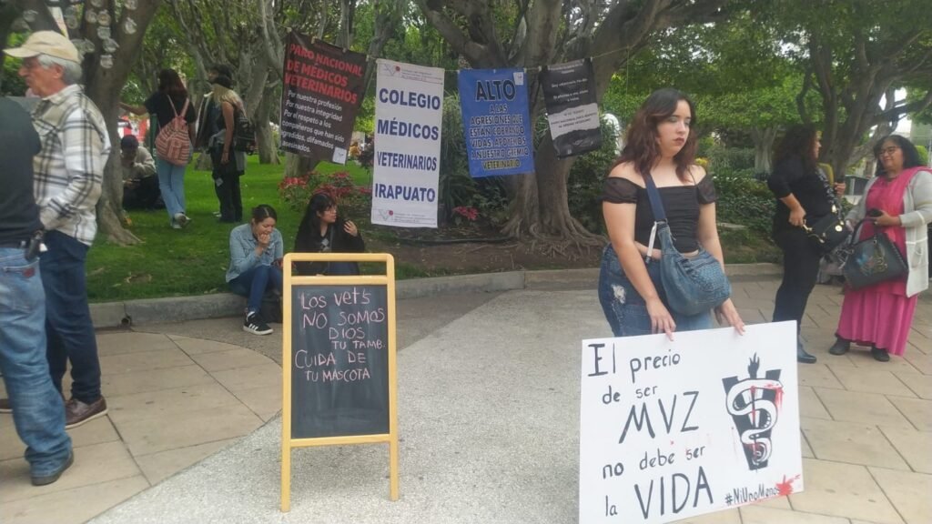 Veterinarios de Irapuato exigen protección tras agresión a colega en Edomex