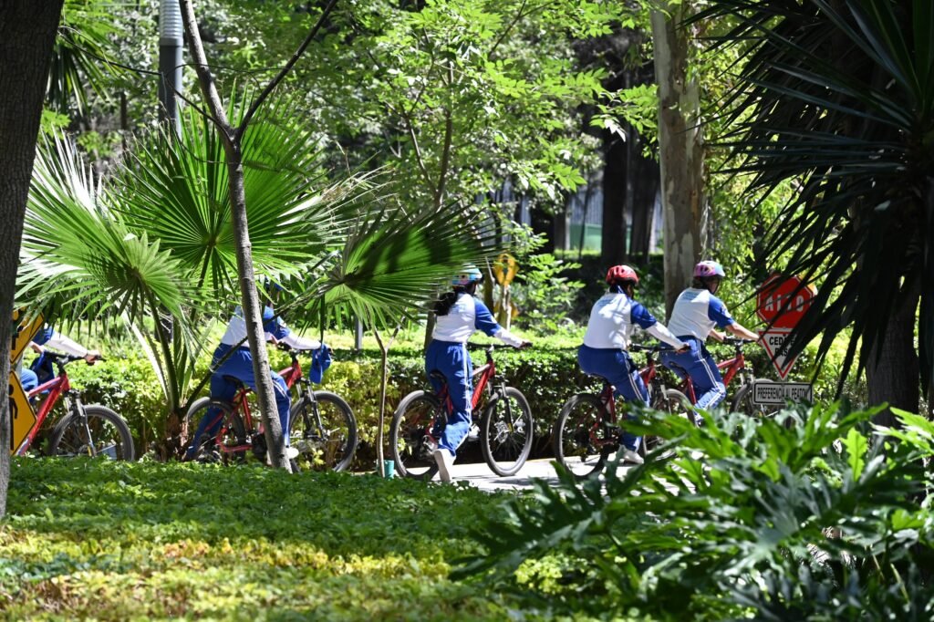 Disfruta del Parque Irekua en vacaciones Disfruta del Parque Irekua en vacaciones