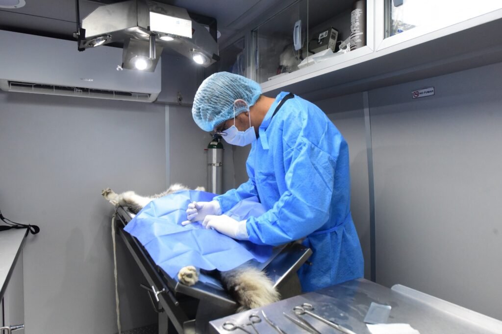 Habrá campaña de esterilización en Irapuato