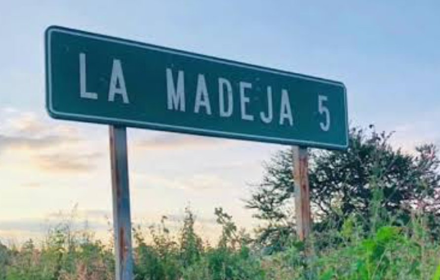 Mueren madre y dos hijos por intoxicación con líquido para fumigar en Pénjamo