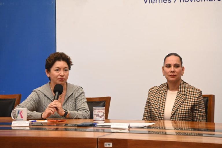 FORTALECEN MESA INTERINSTITUCIONAL PARA LA PREVENCIÓN Y ATENCIÓN DE LAVIOLENCIA DE GÉNERO EN IRAPUATO