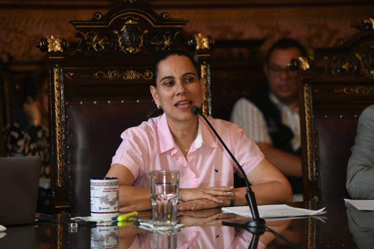 APRUEBAN ACTUALIZACIÓN DEL PROGRAMA DE DESARROLLO URBANO Y ORDENAMIENTO ECOLÓGICO TERRITORIAL DE IRAPUATO 